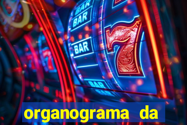 organograma da cacau show