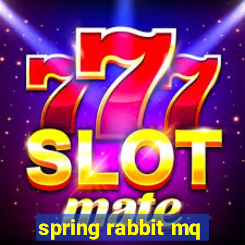 spring rabbit mq