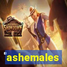 ashemales