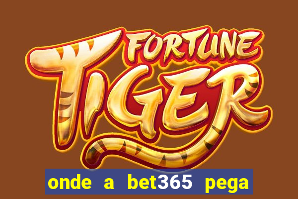 onde a bet365 pega as estatisticas