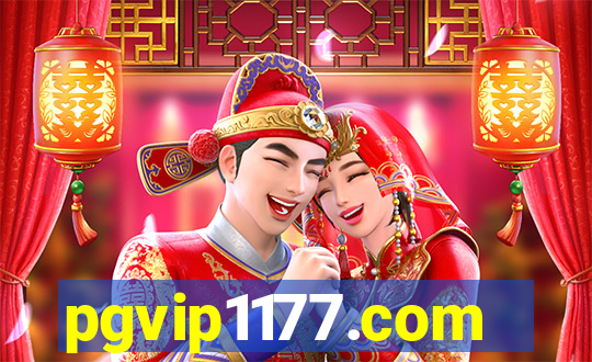 pgvip1177.com