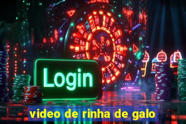 video de rinha de galo