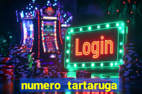 numero tartaruga jogo do bicho