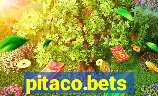 pitaco.bets