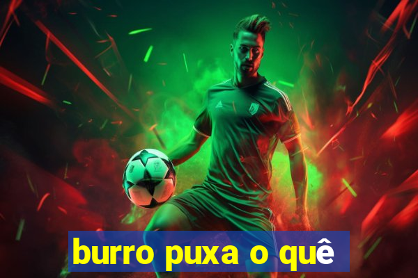 burro puxa o quê