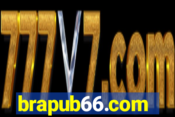 brapub66.com