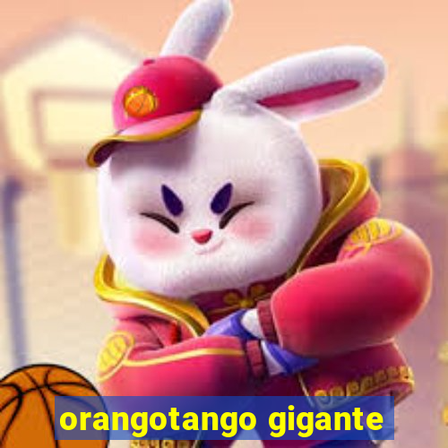 orangotango gigante