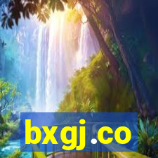 bxgj.co