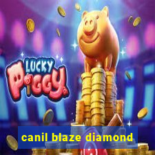 canil blaze diamond